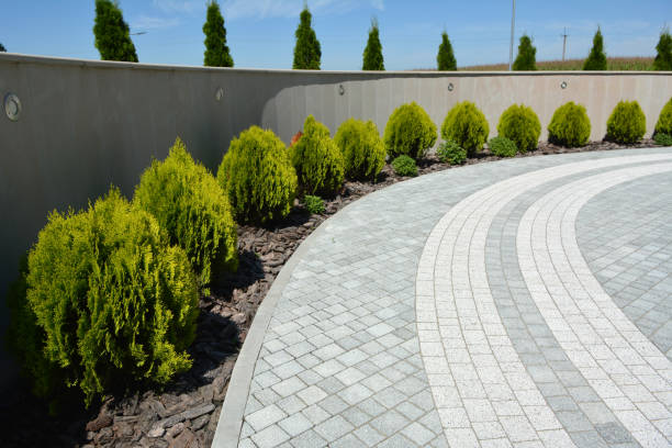 Reasons to Select Us for Your Driveway Paving Requirements in Wakefield, NE